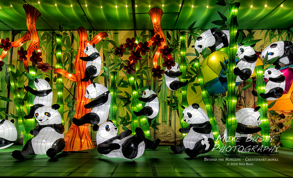The Panda Forest by Mike Busby Photography