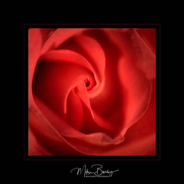 Deep Red by mike Busby's School of Photography